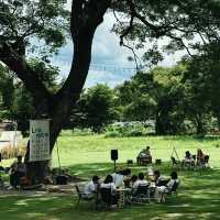 Judy’s Home Café คาเฟ่อบอุ่นและร่มรื่น