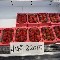 無料で楽しめるバラ園やアスレチック！