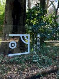 쿠마 겐고의 건축 조형미와 🌳 울창한 숲 속 자연의 멋이 담긴 도쿄여행지💚