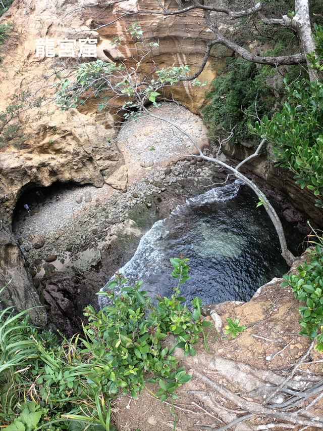 迫力満点　下田公園の紫陽花