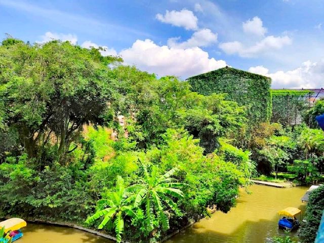 端午節好去處泗水動物園