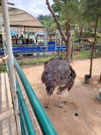 Batam zoo paradise