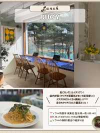 🇰🇷🌳ソウルの森で1日！穴場巡り編✨