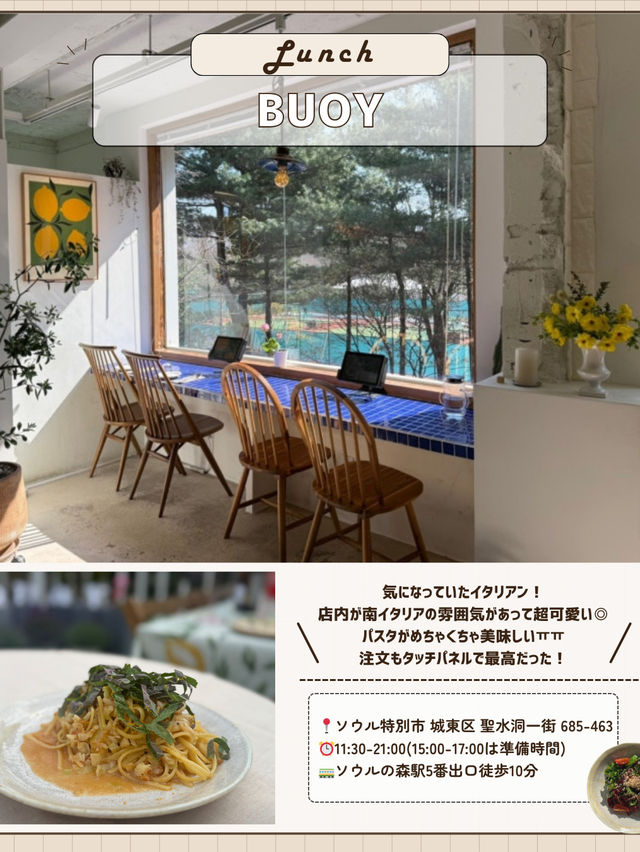 🇰🇷🌳ソウルの森で1日！穴場巡り編✨