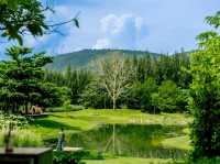 คาเฟ่สุดฮิต ที่เขาใหญ่ 