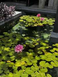 Premium hospitality hotels in chaing mai