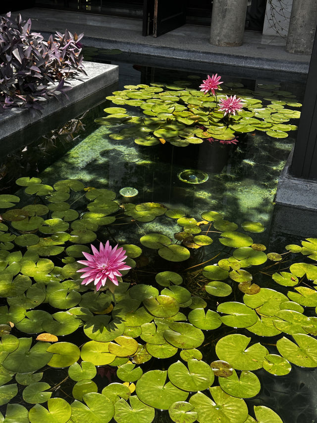 Premium hospitality hotels in chaing mai