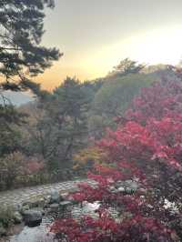 리솜 포레스트 제천으로 떠난 단풍여행🍁