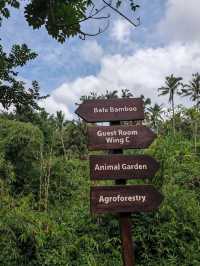 Padma Resort Ubud