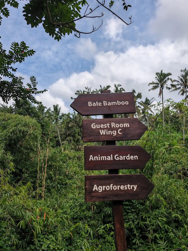 Padma Resort Ubud