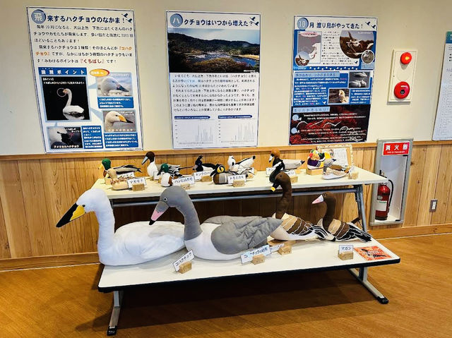 Tsuruoka City Nature Learning and Exchange Center Hotoria