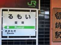 札幌🇯🇵 一日暢遊北海道夏日秘境