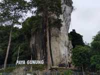 Escaping the City | 2D1N Getaway to Jerantut, Pahang