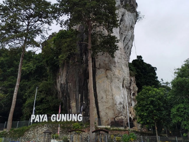 Escaping the City | 2D1N Getaway to Jerantut, Pahang