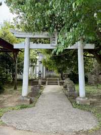 【千葉県】間近に航空機が見られる神社