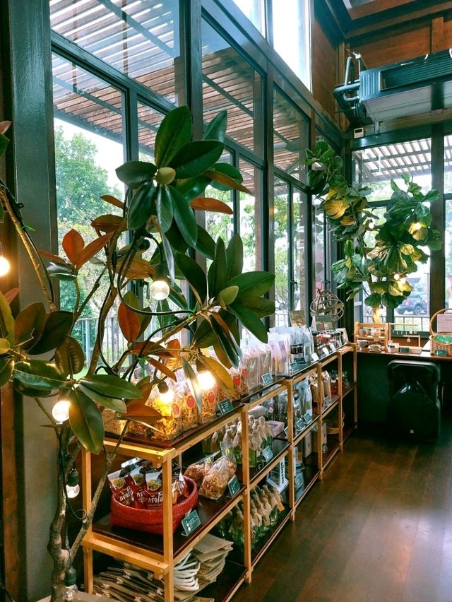 OCCUR Cafe, Trang