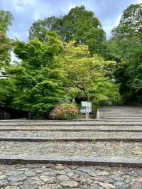 A Peaceful Day Strolling in Nagaokakyo