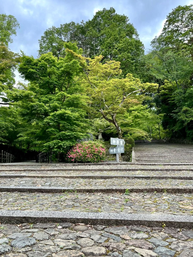 A Peaceful Day Strolling in Nagaokakyo