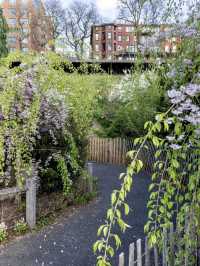 Brooklyn Bridge Park