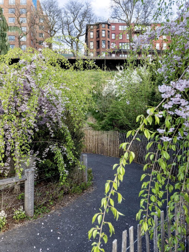Brooklyn Bridge Park