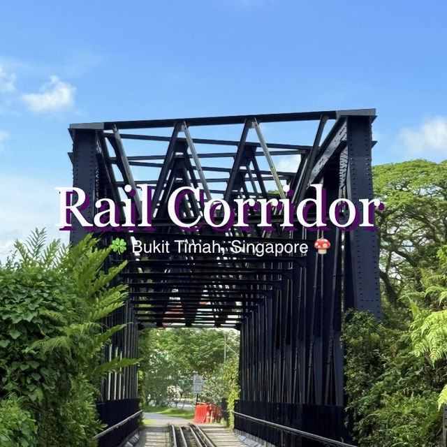 🚶‍♂️🚴‍♀️ Rail Corridor — A Super Friendly Weekend Hiking & Cycling Route!