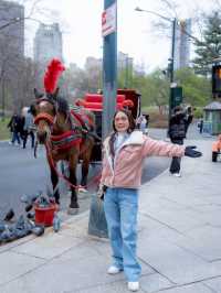 รถม้าพาเที่ยวเซ็นทรัลปาร์ค (Central Park)