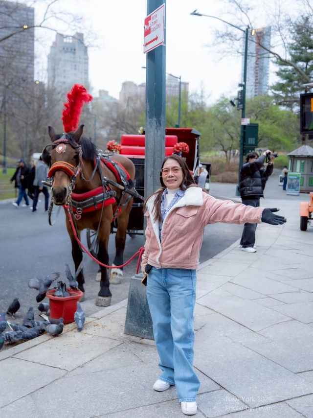 รถม้าพาเที่ยวเซ็นทรัลปาร์ค (Central Park)