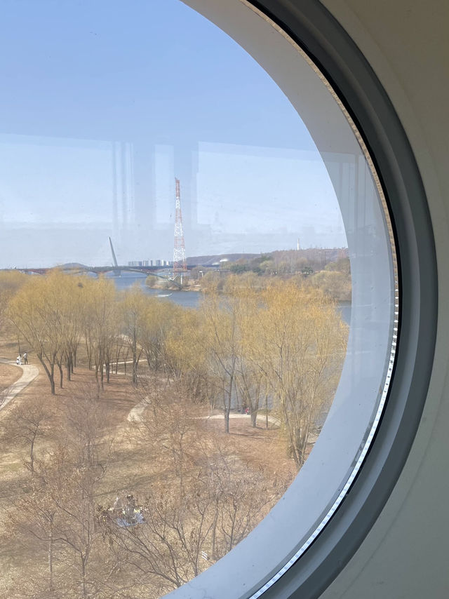 🌇 서울의 하루를 감싸는 강, 한강의 시간 🌿🚴‍♀️🚢