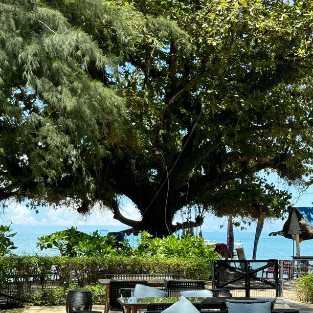 Penang | Lone Pine – A Summer Daydream Come True 🌴☀️🌧 