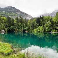 探訪阿爾卑斯山間的秘境～藍湖Blausee