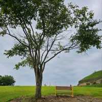 Ancient Vibes at Yeoncheon Horogoru Ruins