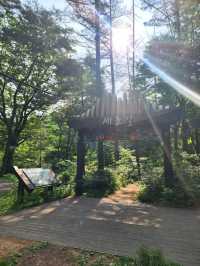 Stairs, Sweat & Stunning Views at Munjangdae Peak
