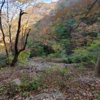 Quiet Trails Baekamsan