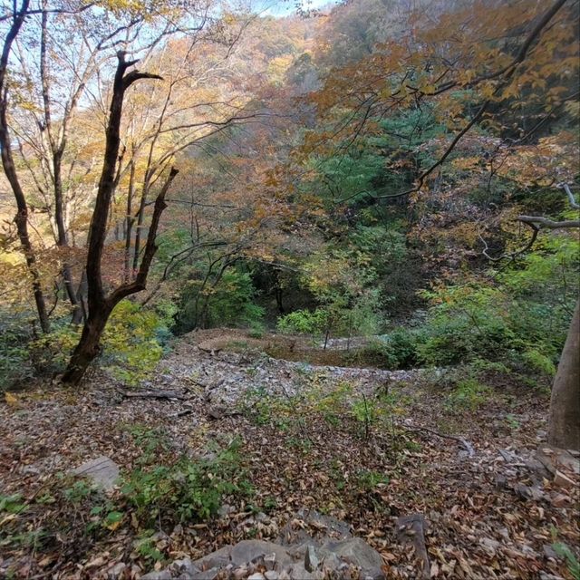 Quiet Trails Baekamsan