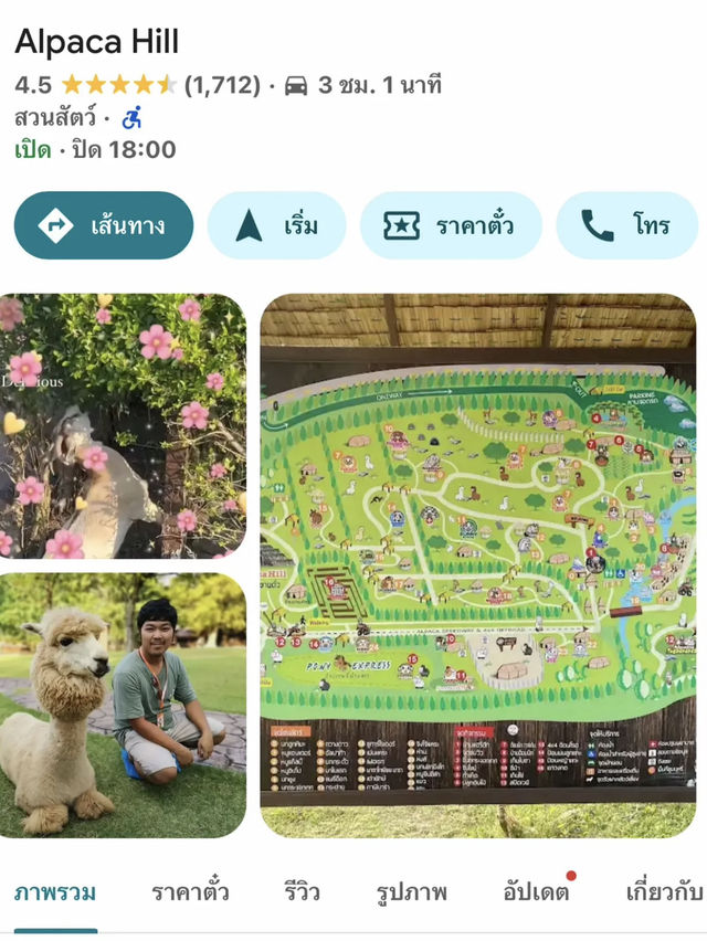 1 Day Trip 🪿Alpaca Hill ราชบุรี!🚗💨
