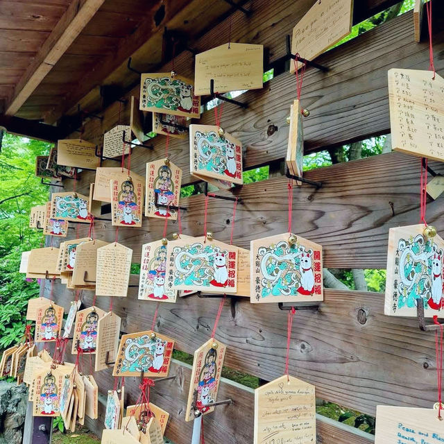 Lucky Cats and Quiet Paths: The Charm of Gotokuji Temple 🇯🇵