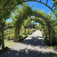 Christchurch Botanic Gardens