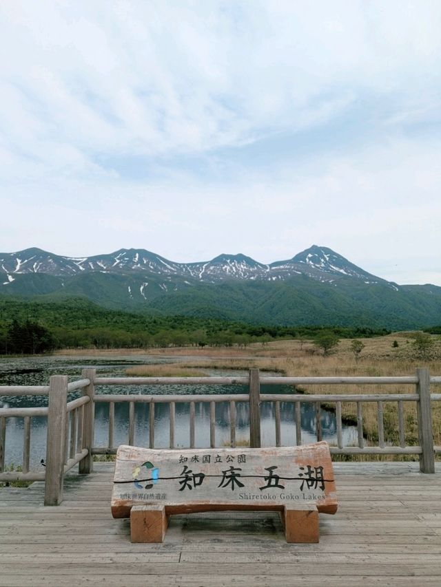 Where the Forest Breathes: Shiretoko Goko