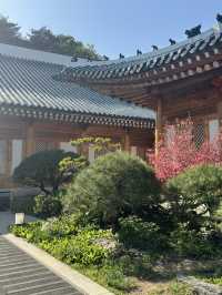 🏛 한옥과 근대, 청와대까지