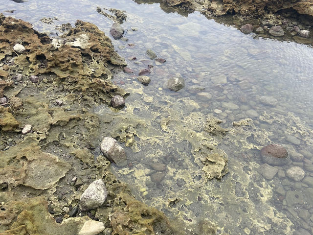 🌊【蘭嶼｜海的那一端，有個讓人放下手機的地方】 