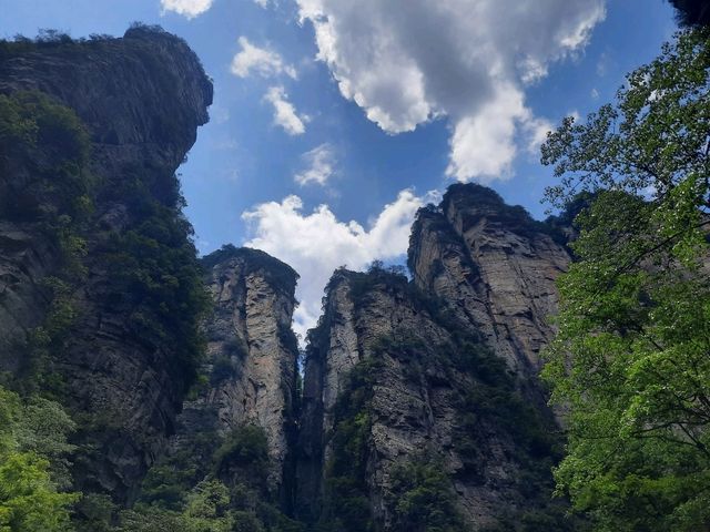 意象 張家界國家森林公園 