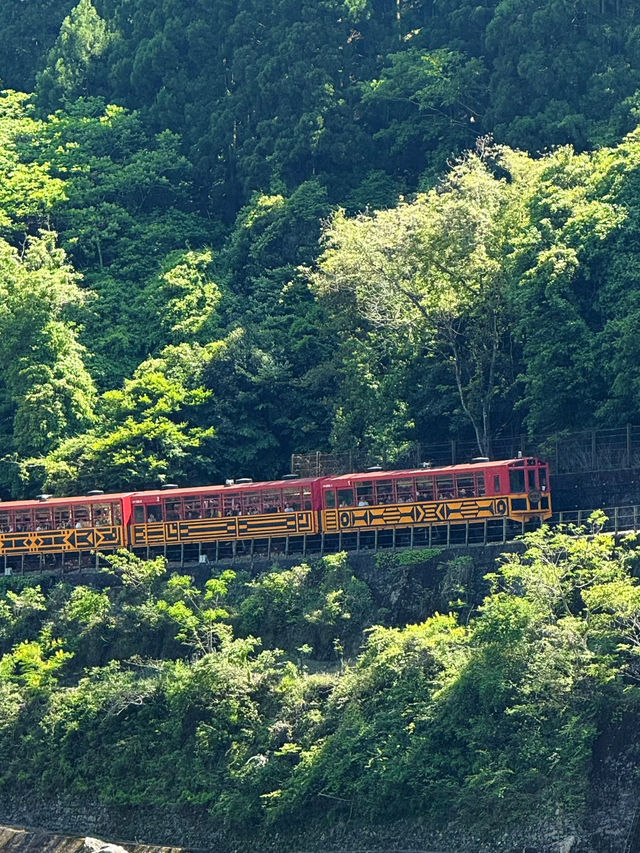 Kyoto Hozugawa River Cruise 🥰