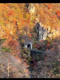 🍁【宮城・鳴子峡】紅葉のトンネルを歩く、秋だけの絶景ハイキング
