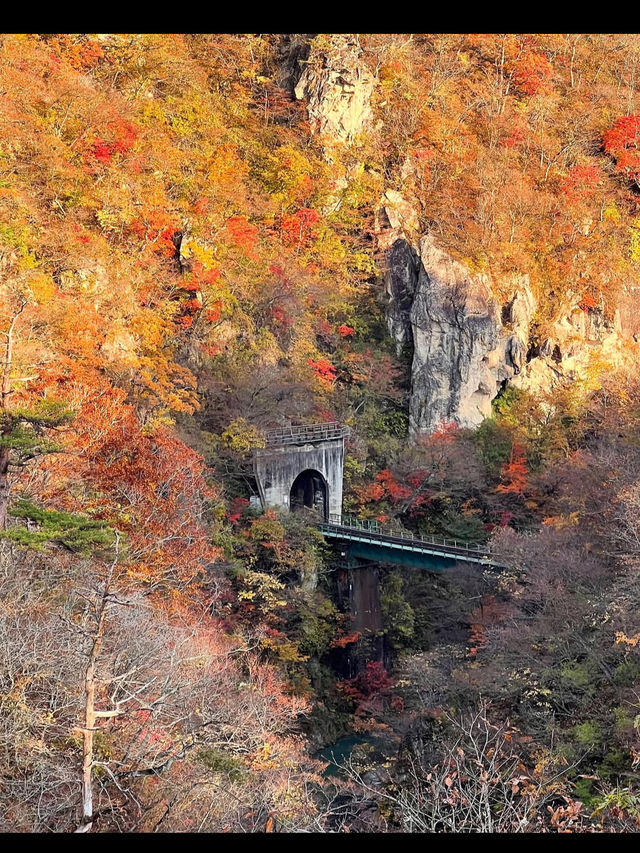 🍁【宮城・鳴子峡】紅葉のトンネルを歩く、秋だけの絶景ハイキング