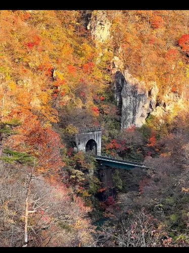 🍁【宮城・鳴子峡】紅葉のトンネルを歩く、秋だけの絶景ハイキング