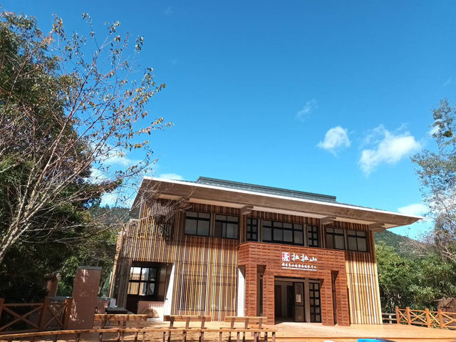 森林遊樂園區系列 PART8️⃣