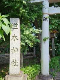 神明守護的水源小祠，伊勢市車站旁〔世木神社〕⛩️