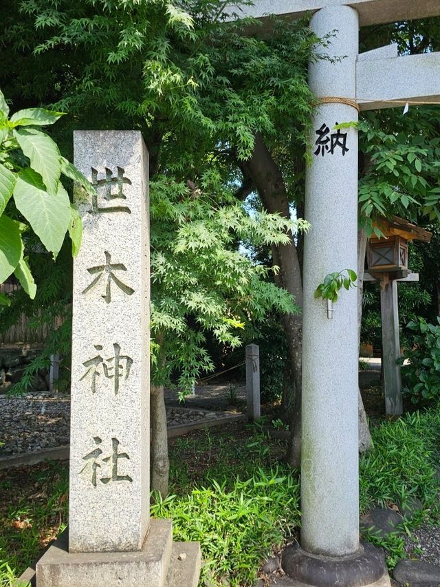 神明守護的水源小祠，伊勢市車站旁〔世木神社〕⛩️