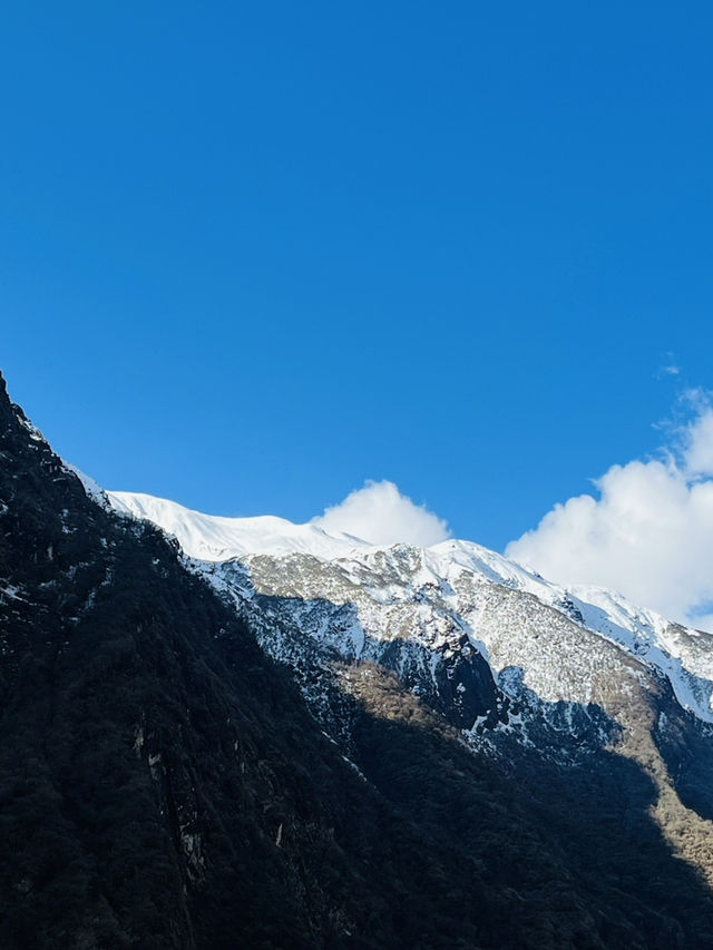 Annapurna Calling