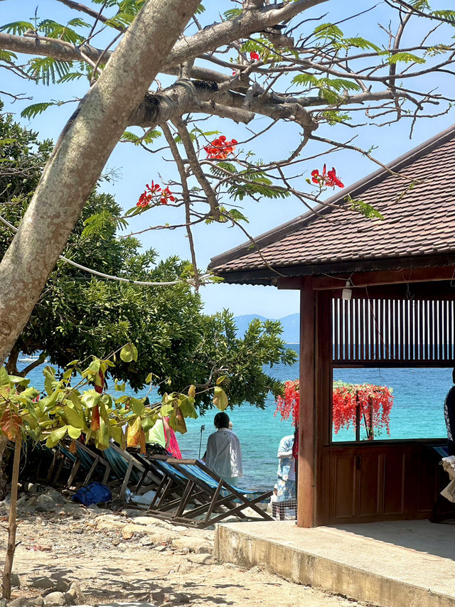 물고기 친구들과 수중 데이트🐠 나트랑 호핑투어 가이드!